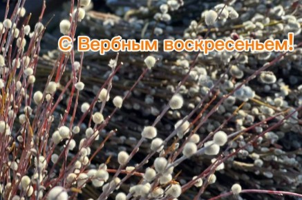 Глава города и председатель Гордумы поздравили православных краснодарцев с Вербным воскресеньем