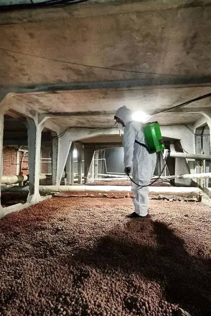 В Краснодаре подвалы жилых помещений обрабатывают от комаров и клещей