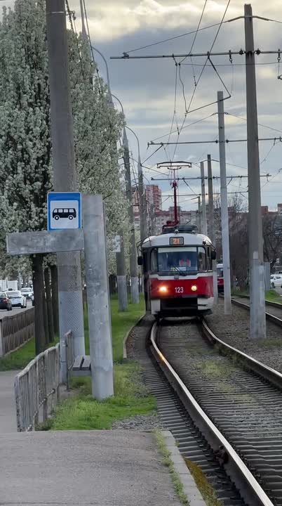 Доброе утро, Краснодар!. Сегодня в столице Кубани будет солнечно