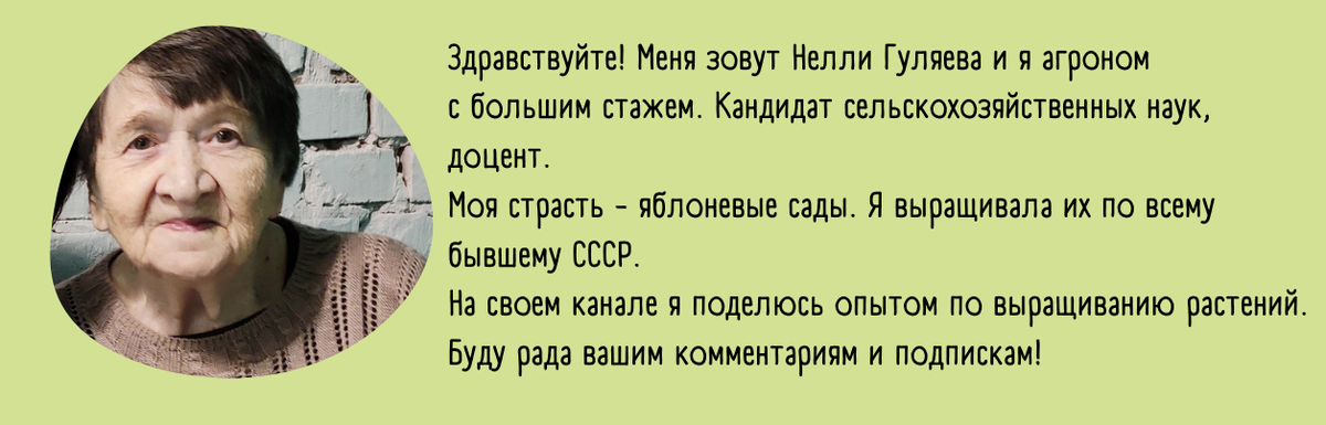 Кому доверять: как выбрать семена для своего огорода