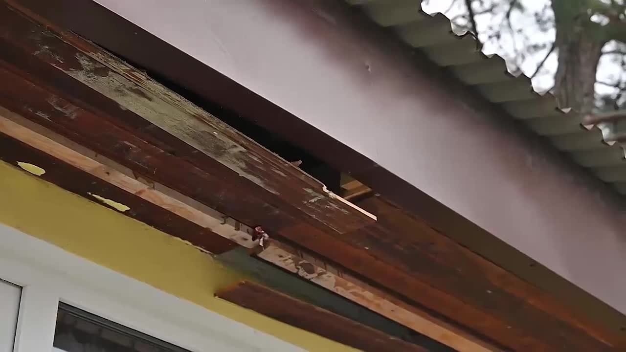 Детский сад и несколько жилых домов пострадали из-за атаки БПЛА в Геленджике