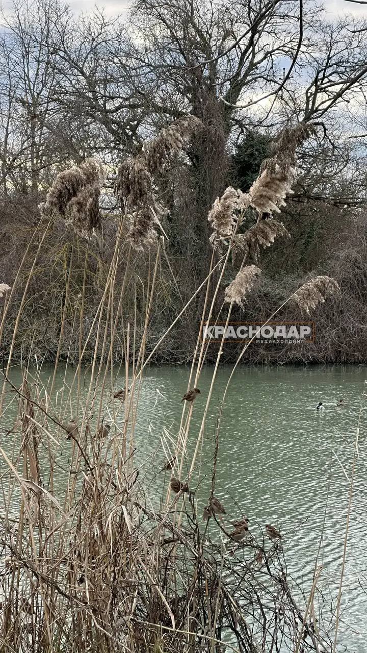 Продолжаем нашу ежедневную рубрику «Краснокадр»