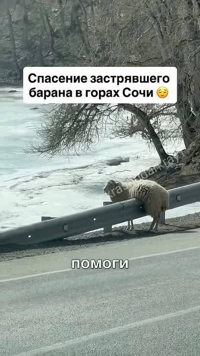 ������� ����� �������!. �������� ����������� ������ � ����� ���� ������ �� �����