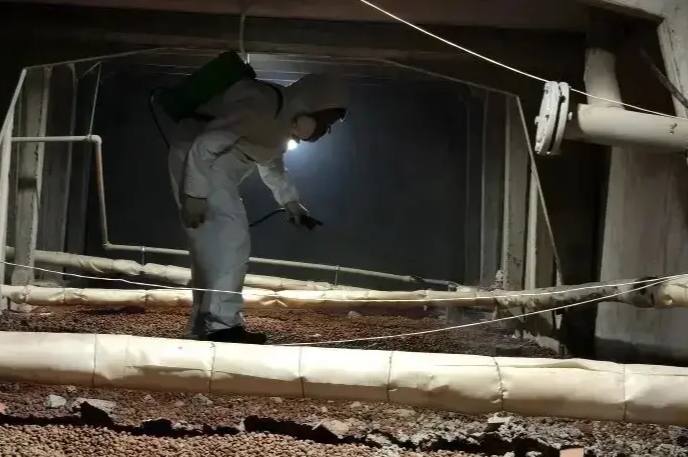 В Краснодаре подвалы жилых помещений обрабатывают от комаров и клещей В Краснодаре подвалы жилых помещений обрабатывают от комаров и клещей