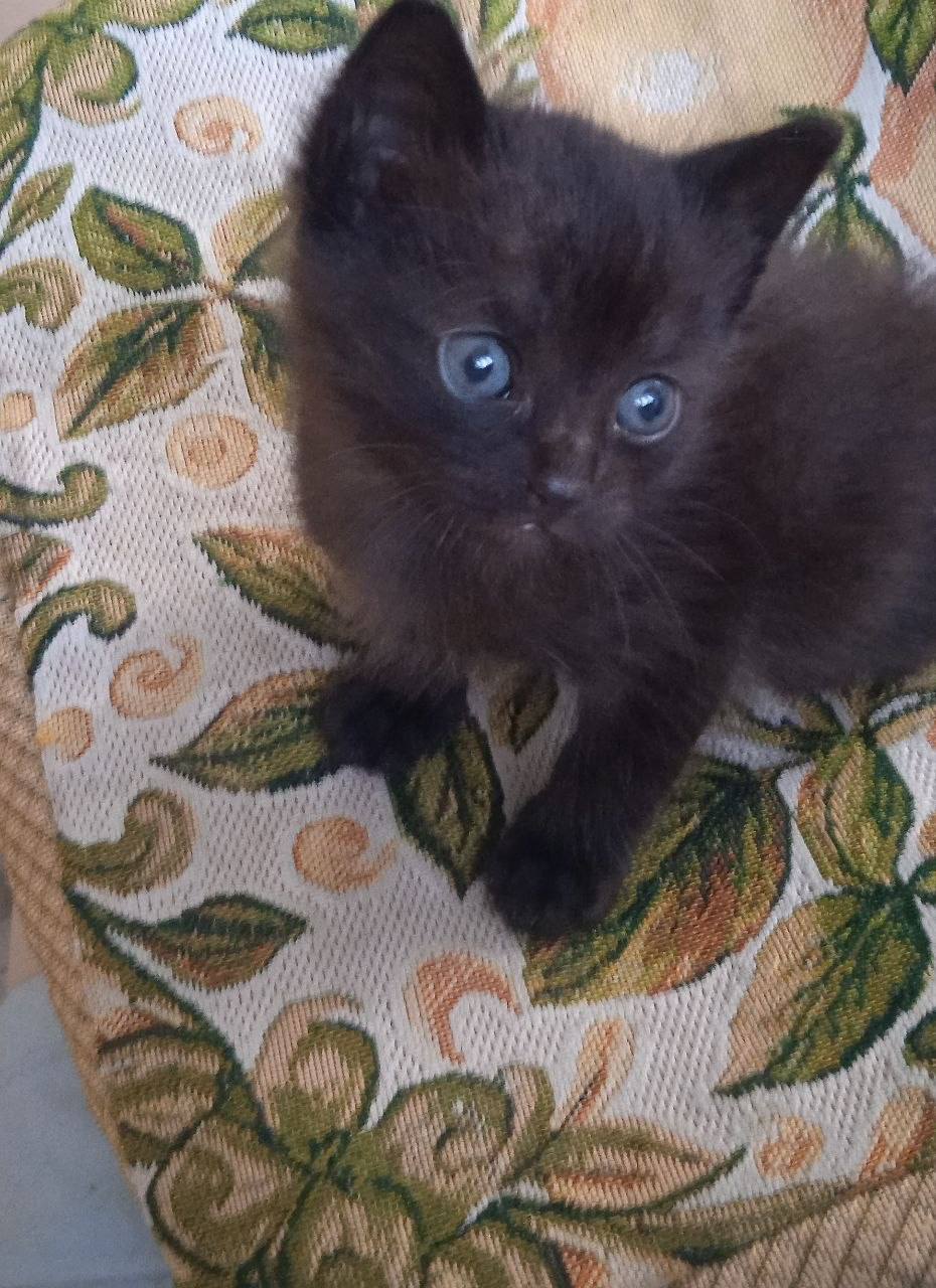 О погоде на 7 апреля . В Краснодарском крае облачно с прояснениями О погоде на 7 апреля . В Краснодарском крае облачно с прояснениями