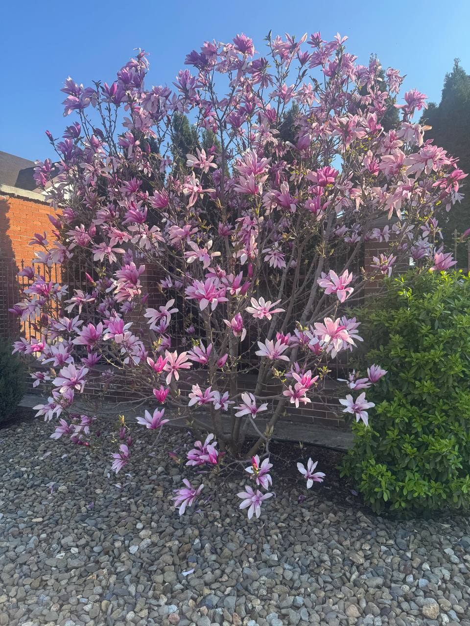 О погоде на 7 апреля . В Краснодарском крае облачно с прояснениями