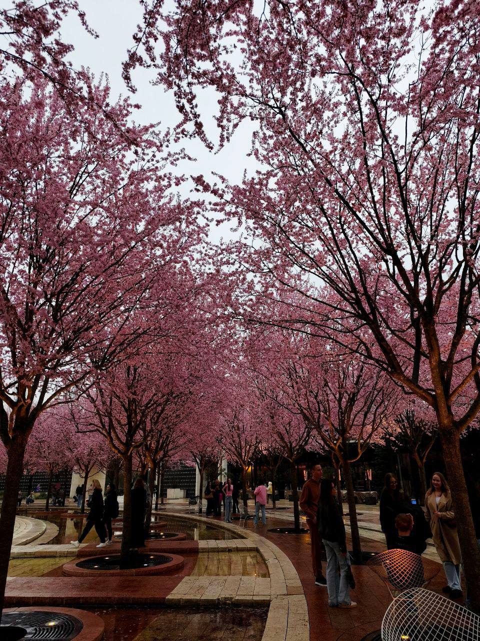 О погоде на 7 апреля . В Краснодарском крае облачно с прояснениями О погоде на 7 апреля . В Краснодарском крае облачно с прояснениями