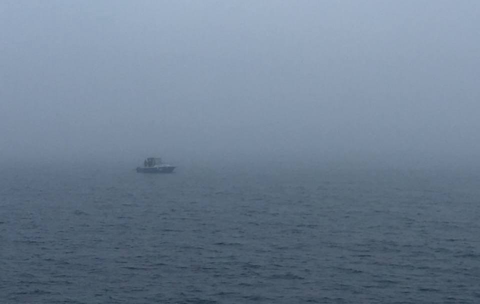 Андрей Кравченко: Принял участие в заседании КЧС под председательством заместителя Губернатора Кубани Дмитрия Валерьевича Маслова в связи с непогодой