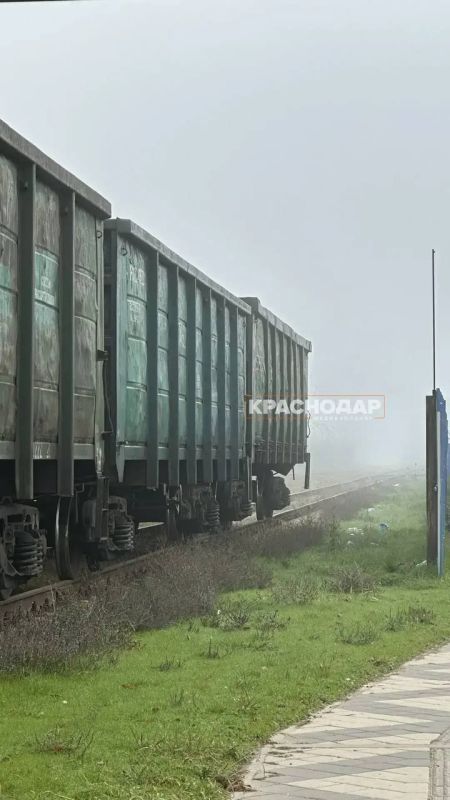 ���������� ���� ���������� ������� �����������