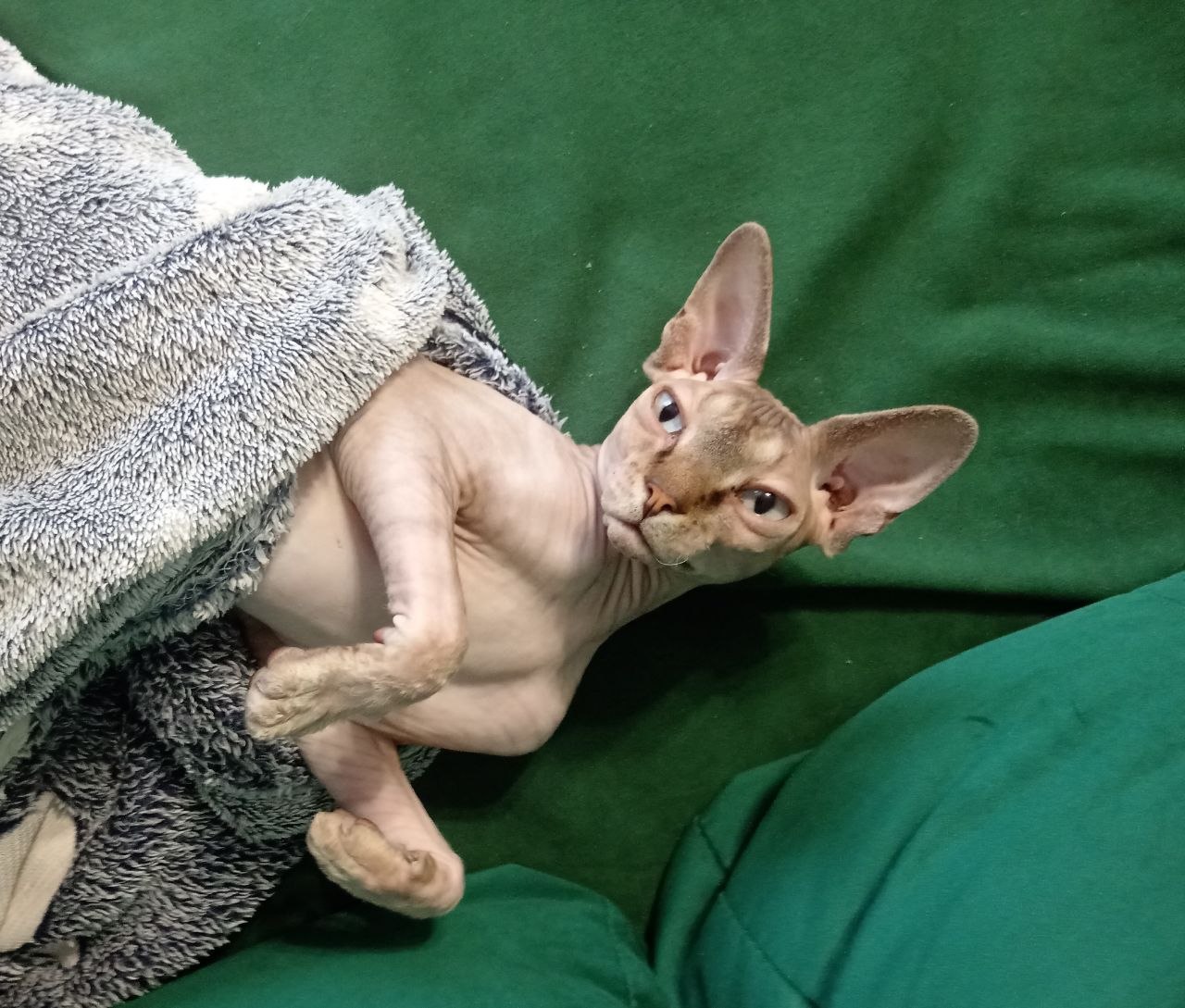 Доброе утро, Кубань!. Краснодар +9 °С Доброе утро, Кубань!. Краснодар +9 °С