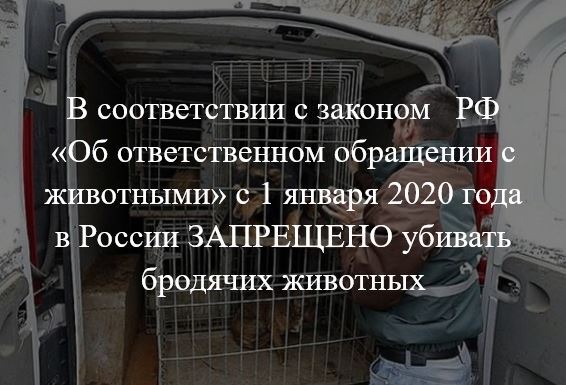 В соответствии с законом РФ «Об ответственном обращении с животными» с 1 января 2020 года в России ЗАПРЕЩЕНО убивать бродячих животных