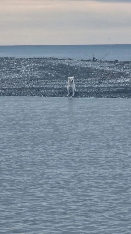 ��� ����� �� ����: ����� � ���� ����� �������� ������������� � ����� ����� ���