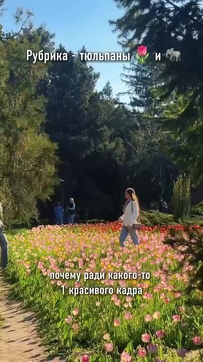 �������� � ����� � ������������ ����