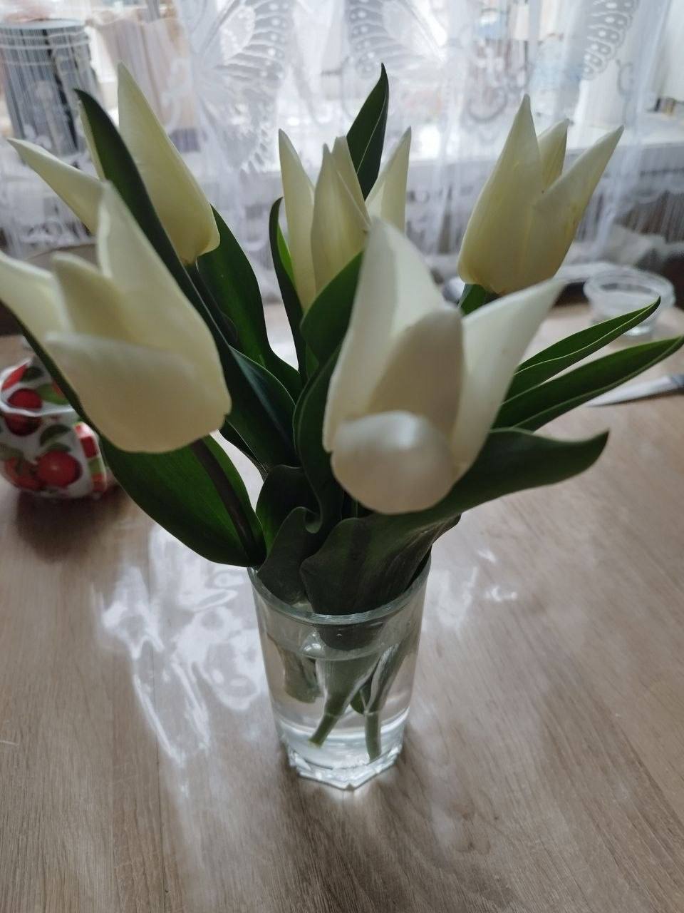 О погоде на 8 апреля . В Краснодарском крае облачно, дождь О погоде на 8 апреля . В Краснодарском крае облачно, дождь