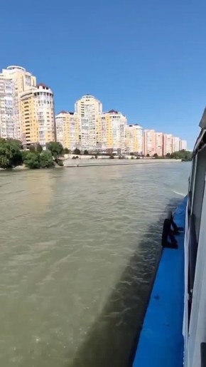 � 15 ������ � ���������� ��������� ��������� �������� �������� ��� ���������� ������ �� ���� ������