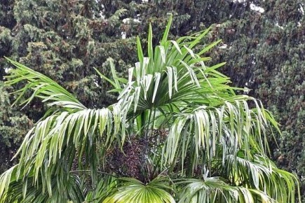 � ���� ��������� ����� � �����