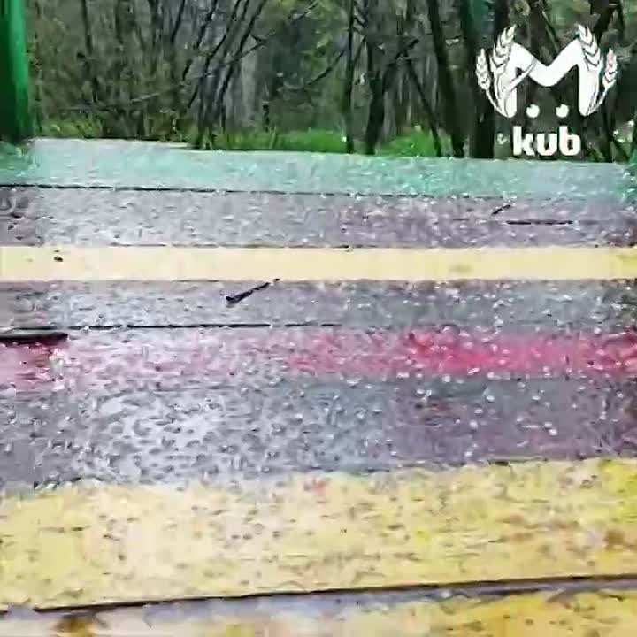 Град побил первоцветы на Кубани