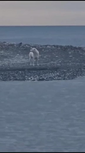 � ���������� ���, �������� ���� �� ������ � �������� ���� � ����, ��������� �����