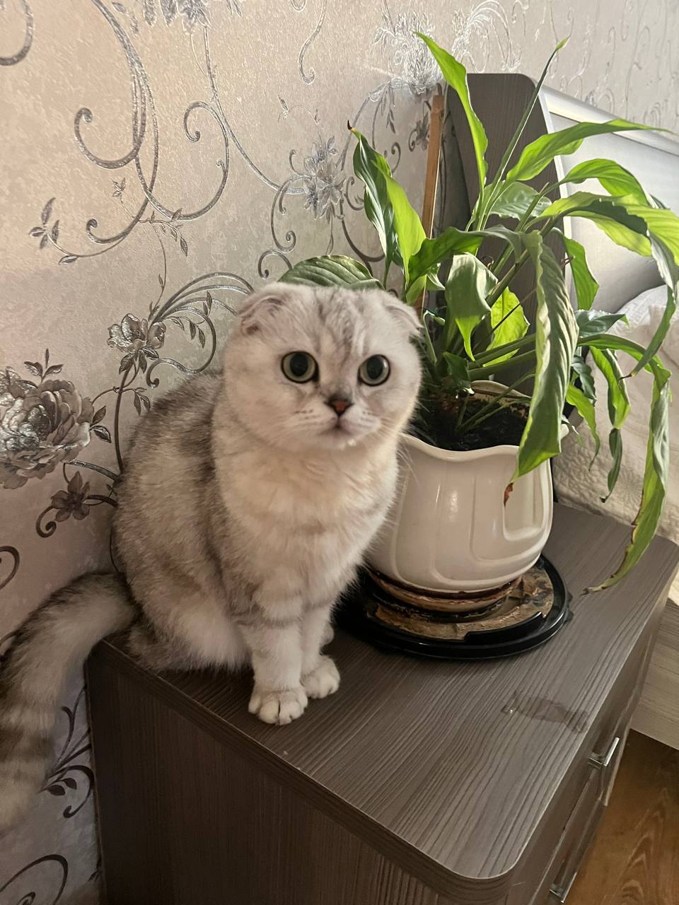 Доброе утро, Кубань!. Краснодар +9 °С Доброе утро, Кубань!. Краснодар +9 °С