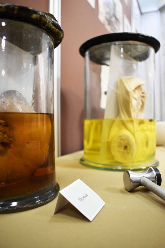 �������� - �� ���������. � ����� ������� ������ ����� ������ ������ ����� ��������