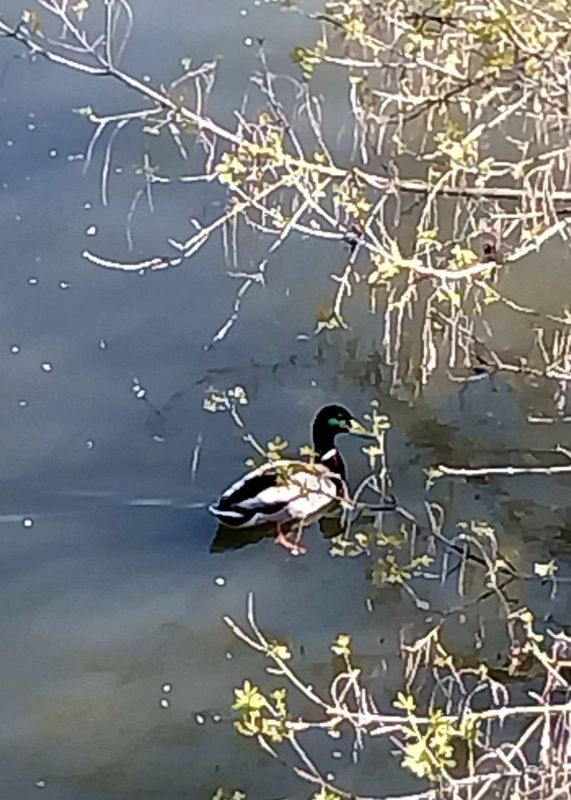 � ������ �� 8 ������ . � ������������� ���� �������, �����