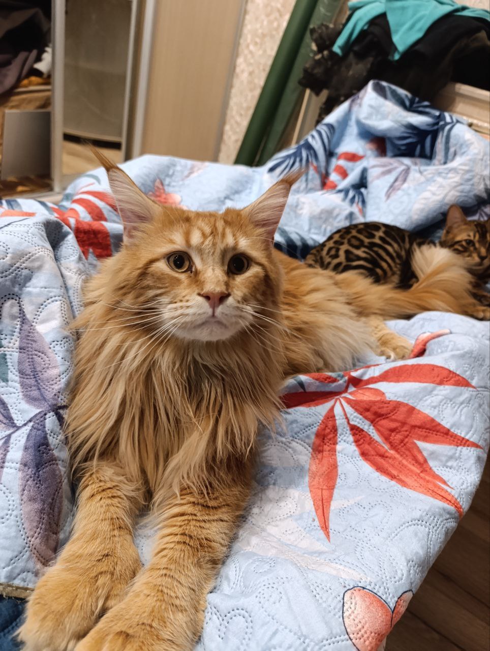 Доброе утро, Кубань!. Краснодар +9 °С Доброе утро, Кубань!. Краснодар +9 °С