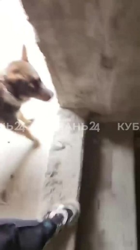 ������, ������� ��������� ���� ������ �� ����� ��������� � ����������, ������� ������