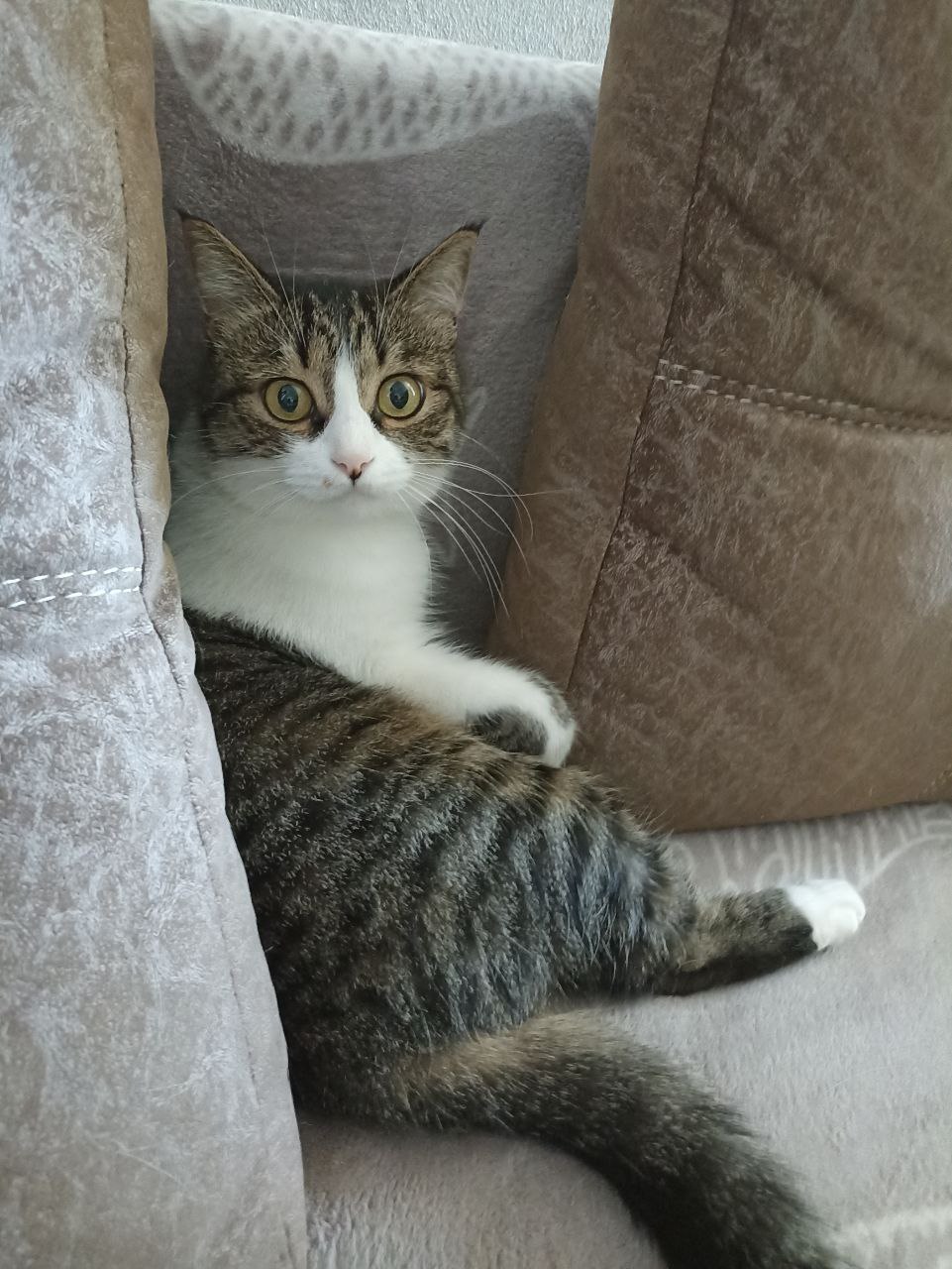 Доброе утро, Кубань!. Краснодар +9 °С Доброе утро, Кубань!. Краснодар +9 °С