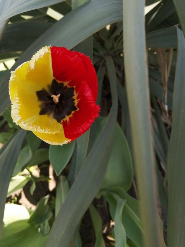 � ������ �� 8 ������ . � ������������� ���� �������, �����