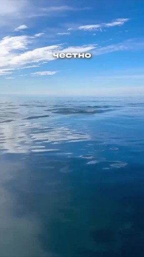 Не заплыв, а спектакль. Сочинское утро встретило любителя сап-серфинга не просто лазурной гладью, а настоящим чудом