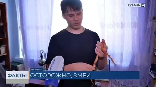 Сезон змей начался на Кубани