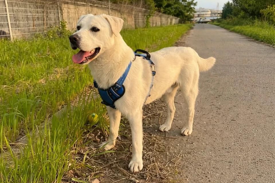 ��� ����� �� ����: ����� � ���� ����� �������� ������������� � ����� ����� ���