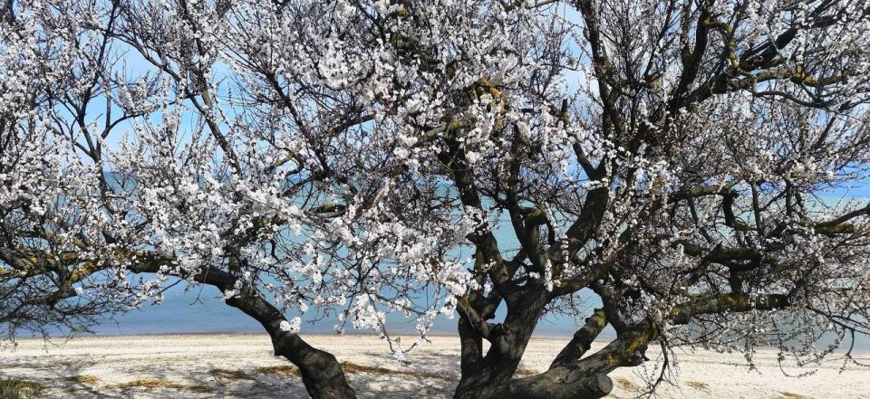 � ������ �� 9 ������ . � ������������� ���� ������� � ������������