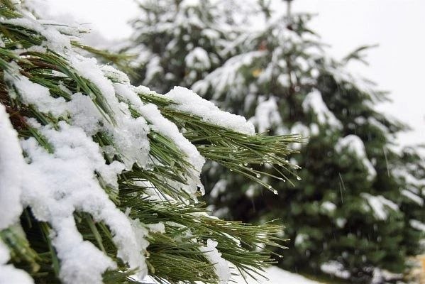 В Сочи до конца суток возможны сильные осадки
