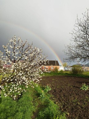 � ������ �� 9 ������ . � ������������� ���� ������� � ������������