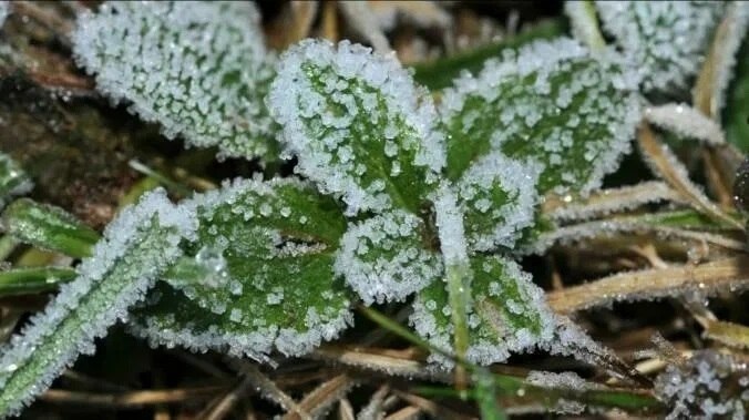 «Внимание!!! Жители и гости Ейского района!!!
