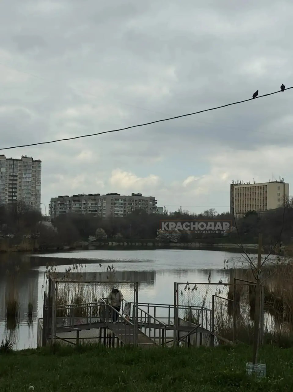 Продолжаем нашу ежедневную рубрику «Краснокадр»