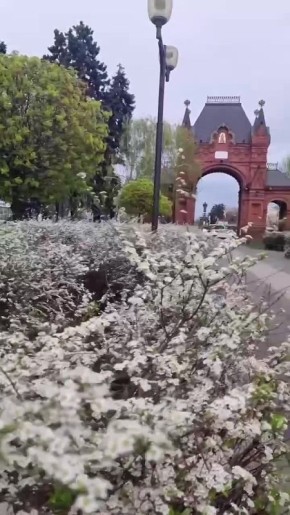 � ������� ��������. �������� (������ ��� ������ � ���� ��� �����) ������������ �� ������� ����� ������