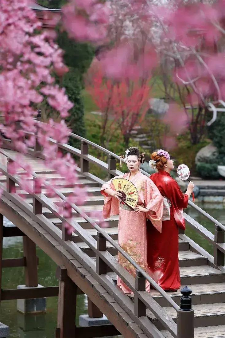 Краснодарки в японских костюмах прогулялись в парке Галицкого Краснодарки в японских костюмах прогулялись в парке Галицкого