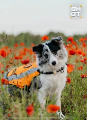 ���� ��������� ����� ���������� ������� ���������� � ����������