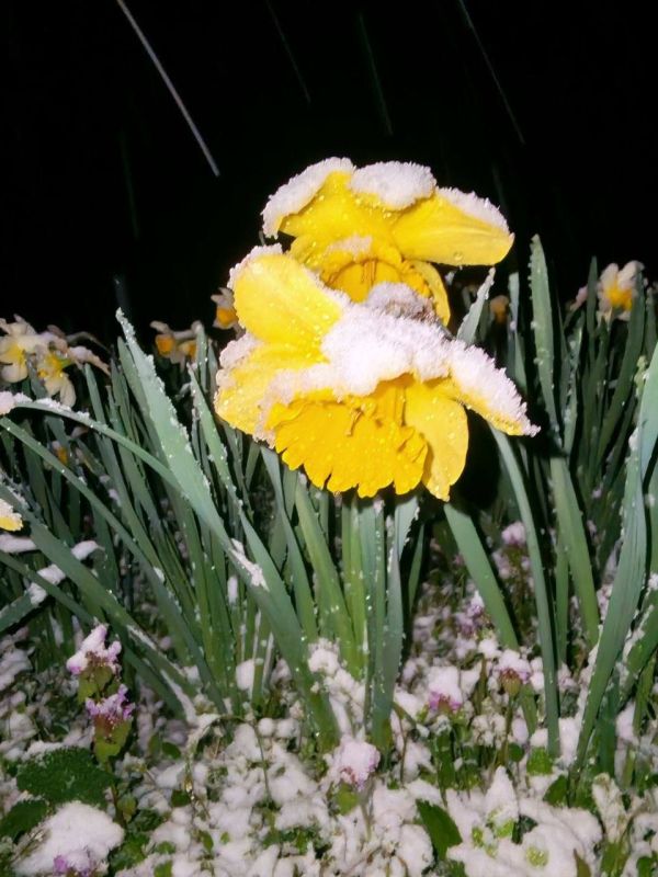 � ������ �� 9 ������ . � ������������� ���� ������� � ������������