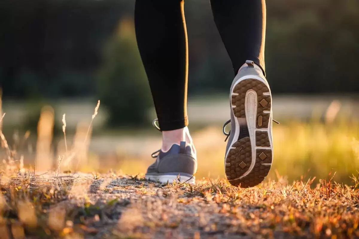 Психологические преимущества времени, проведенного на природе