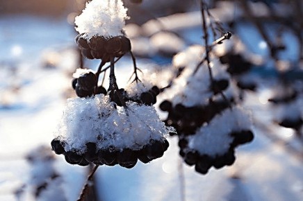 ��� ������������� ������ ��� � ������� ���� �� ������������ ����