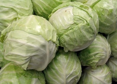 10 �������� ��������� �������� ������� �� �����