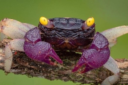 ������� ���� �������� � ������������ ������-��������