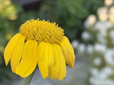 ����� ����� �� ����� ����: ������ � ������������� �����������