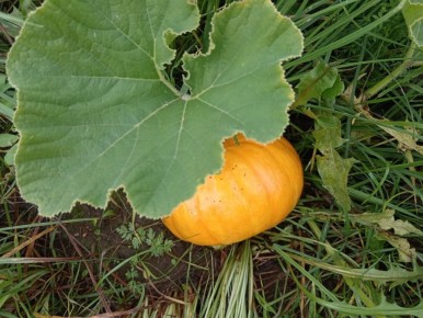 ������� ��������� ����������� ����� � ����