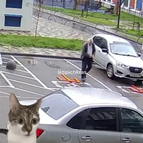 � �����?. ����� ������� ���������� ��������, ������� �������� �������� �� ����������� ����� ��� ��������� � ����������, ��� � ������� ���������