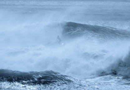 На глубине 9 км в Тихом океане нашли неизвестное существо