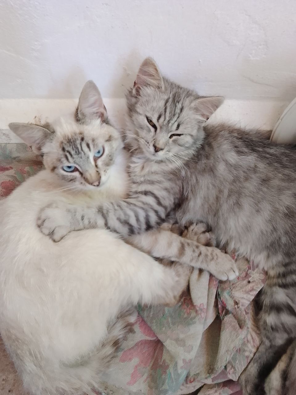 Доброе утро, Кубань!. Краснодар +14 °С Доброе утро, Кубань!. Краснодар +14 °С